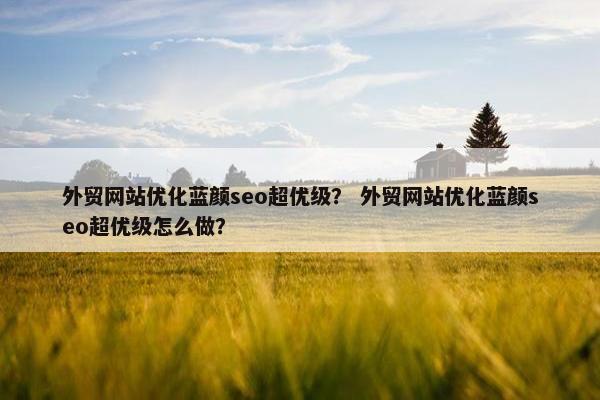 外贸网站优化蓝颜seo超优级？ 外贸网站优化蓝颜seo超优级怎么做？