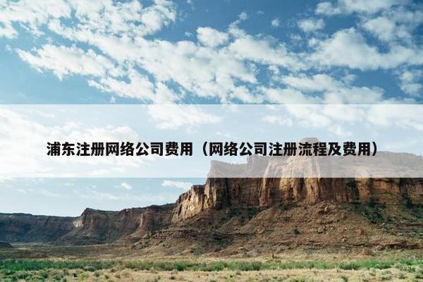 浦东注册网络公司费用（网络公司注册流程及费用）