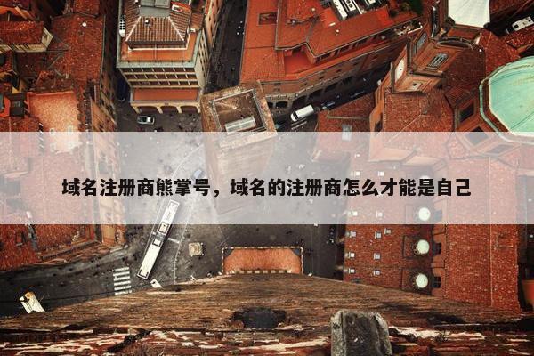 域名注册商熊掌号，域名的注册商怎么才能是自己