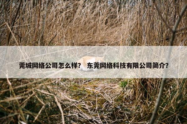莞城网络公司怎么样？ 东莞网络科技有限公司简介？