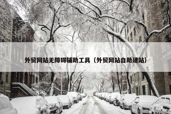 外贸网站无障碍辅助工具（外贸网站自助建站）