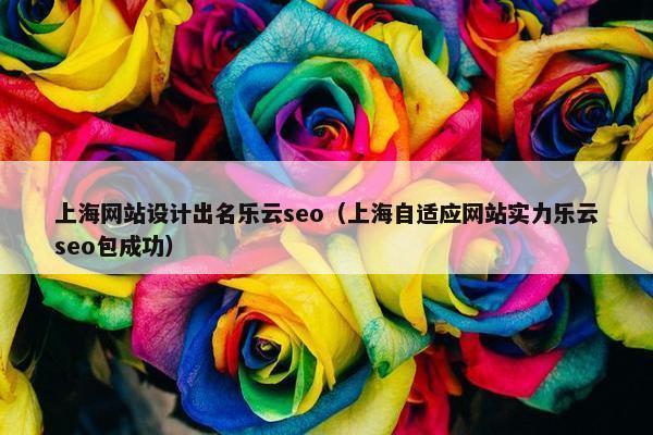 上海网站设计出名乐云seo（上海自适应网站实力乐云seo包成功）