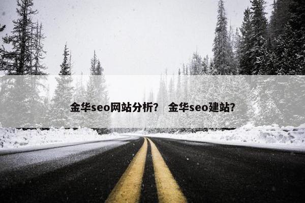 金华seo网站分析？ 金华seo建站？
