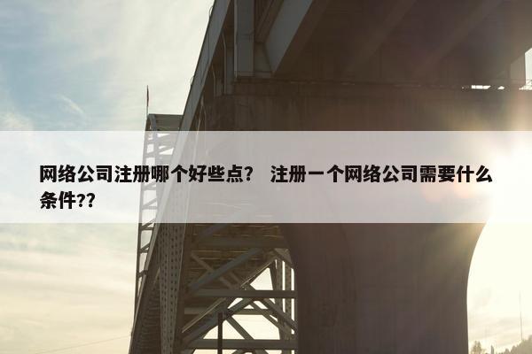 网络公司注册哪个好些点？ 注册一个网络公司需要什么条件?？
