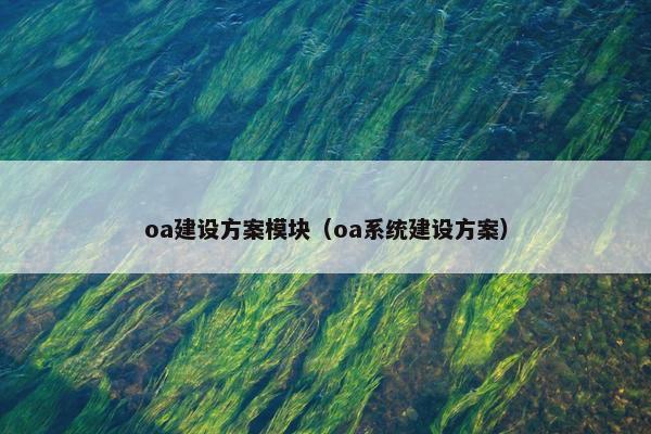 oa建设方案模块（oa系统建设方案）