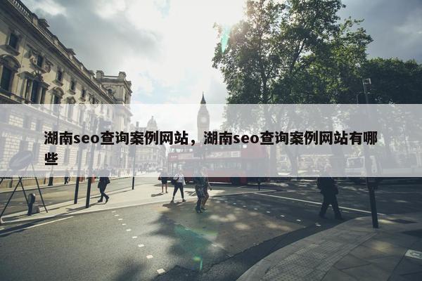 湖南seo查询案例网站，湖南seo查询案例网站有哪些