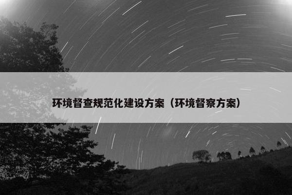 环境督查规范化建设方案（环境督察方案）