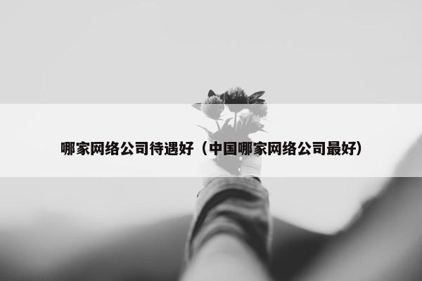 哪家网络公司待遇好（中国哪家网络公司最好）