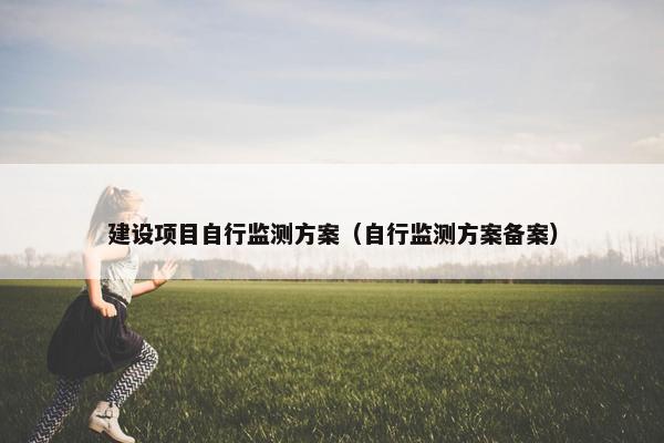 建设项目自行监测方案（自行监测方案备案）