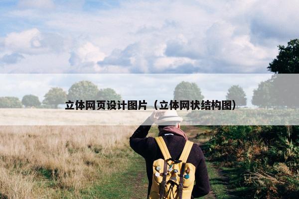 立体网页设计图片（立体网状结构图）