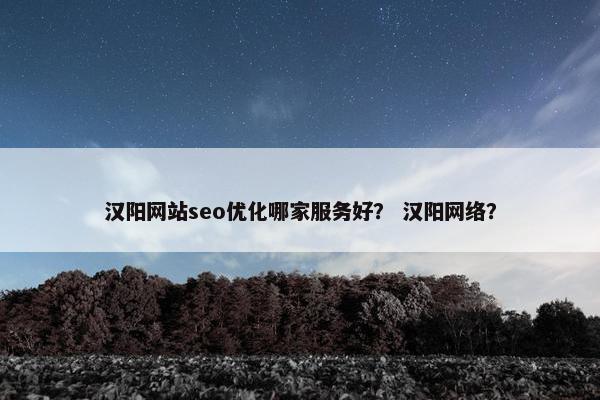 汉阳网站seo优化哪家服务好？ 汉阳网络？