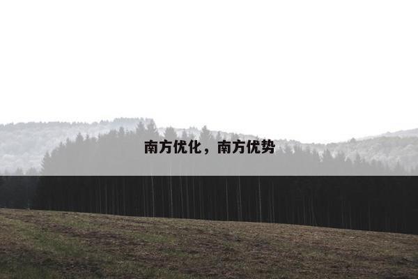 南方优化，南方优势