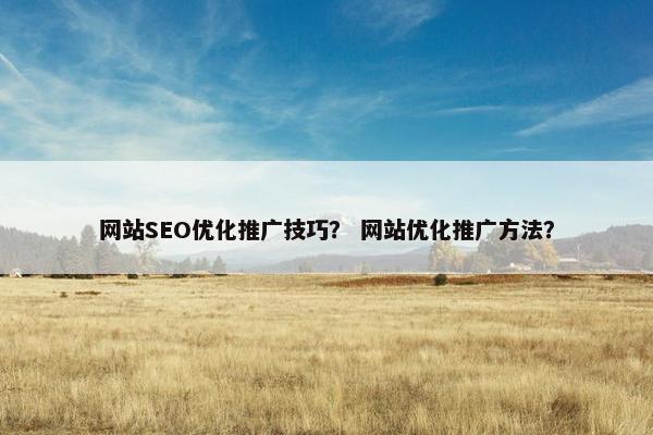 网站SEO优化推广技巧？ 网站优化推广方法？