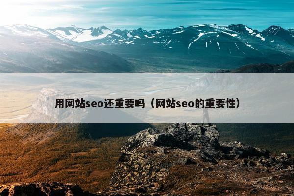用网站seo还重要吗（网站seo的重要性）