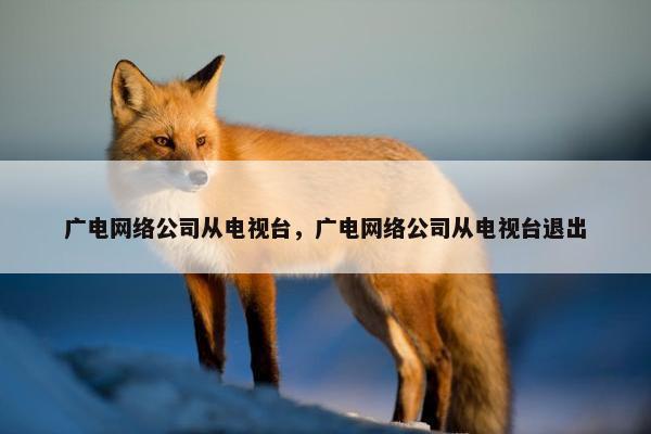 广电网络公司从电视台，广电网络公司从电视台退出