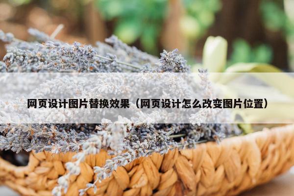 网页设计图片替换效果（网页设计怎么改变图片位置）