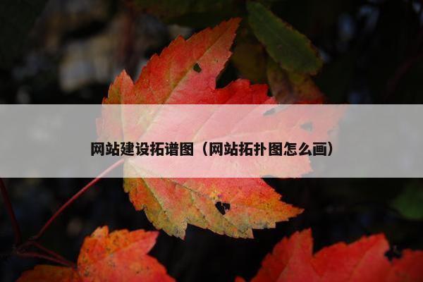 网站建设拓谱图（网站拓扑图怎么画）