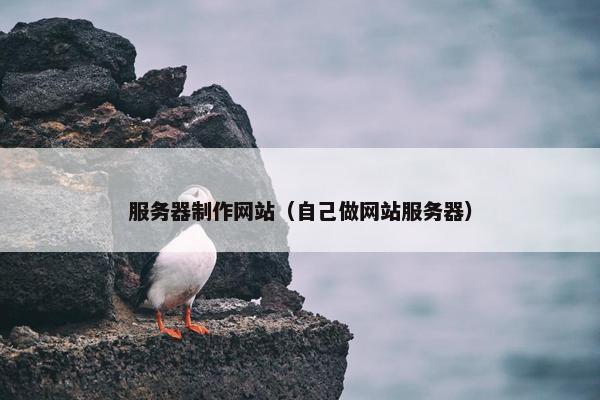 服务器制作网站（自己做网站服务器）