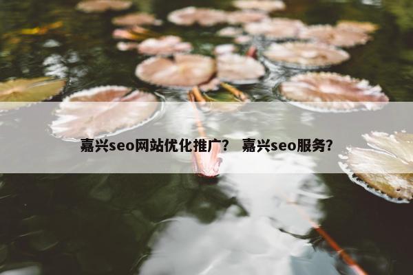 嘉兴seo网站优化推广？ 嘉兴seo服务？