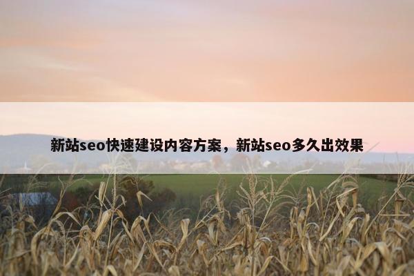 新站seo快速建设内容方案，新站seo多久出效果