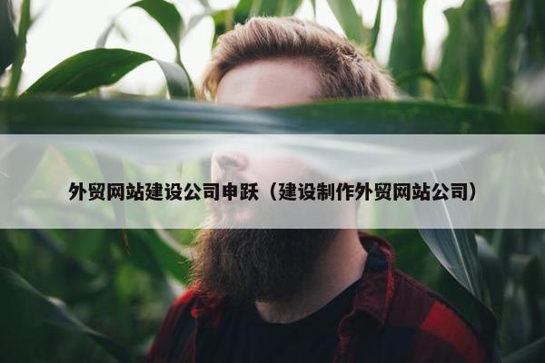 外贸网站建设公司申跃（建设制作外贸网站公司）