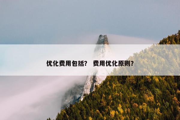 优化费用包括？ 费用优化原则？