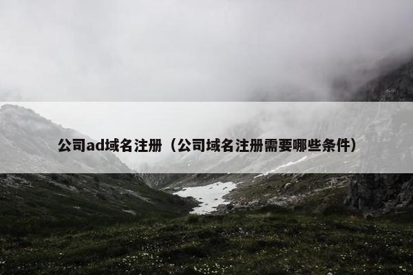 公司ad域名注册（公司域名注册需要哪些条件）