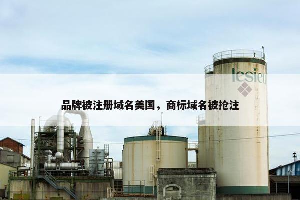 品牌被注册域名美国，商标域名被抢注