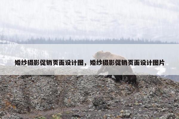 婚纱摄影促销页面设计图，婚纱摄影促销页面设计图片