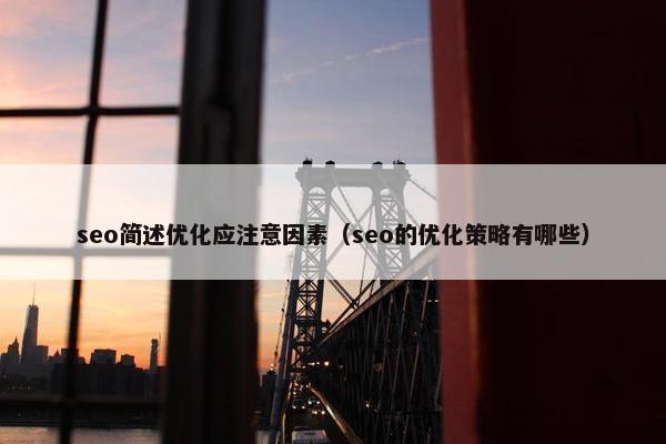 seo简述优化应注意因素（seo的优化策略有哪些）