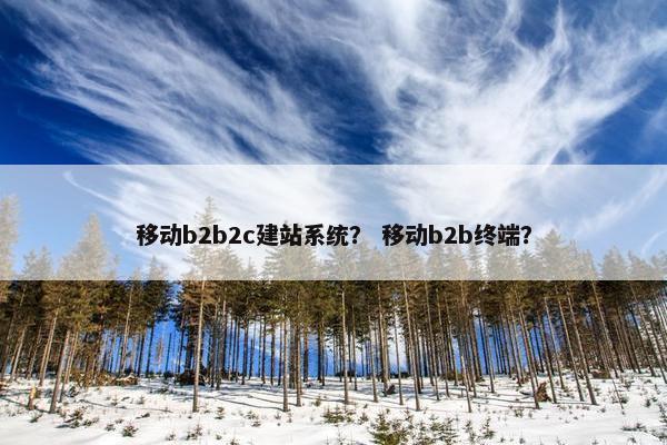 移动b2b2c建站系统？ 移动b2b终端？