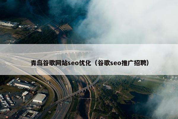 青岛谷歌网站seo优化（谷歌seo推广招聘）