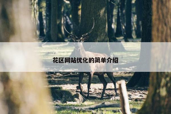 花区网站优化的简单介绍