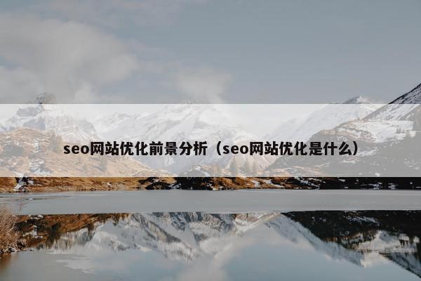 seo网站优化前景分析（seo网站优化是什么）