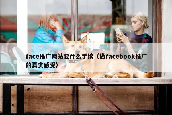 face推广网站要什么手续（做facebook推广的真实感受）