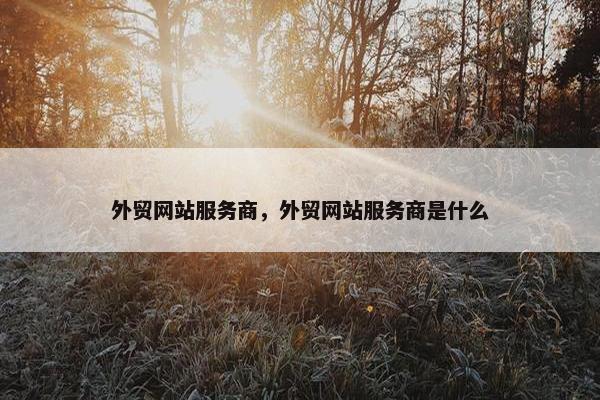 外贸网站服务商，外贸网站服务商是什么