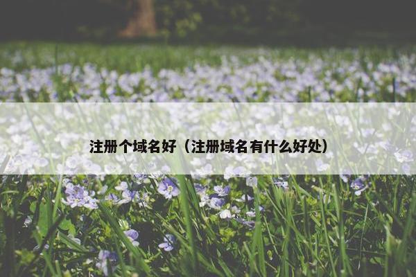 注册个域名好（注册域名有什么好处）