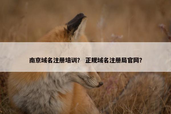 南京域名注册培训？ 正规域名注册局官网？