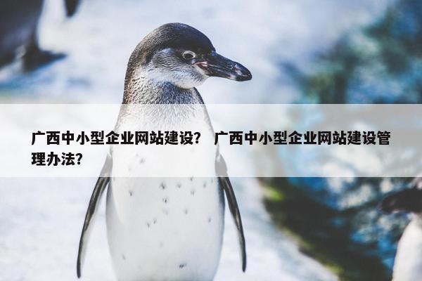 广西中小型企业网站建设？ 广西中小型企业网站建设管理办法？