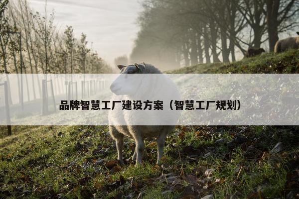 品牌智慧工厂建设方案（智慧工厂规划）