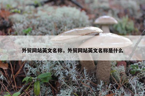 外贸网站英文名称，外贸网站英文名称是什么