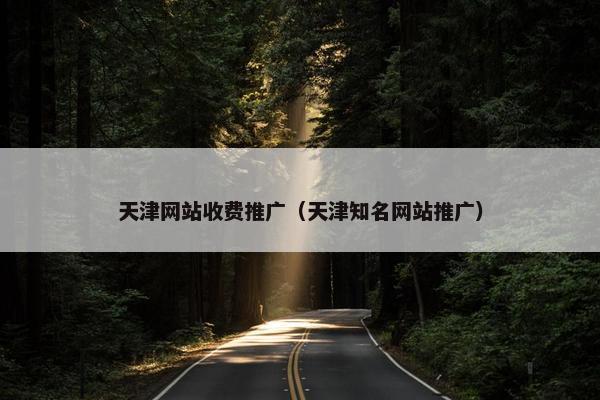 天津网站收费推广（天津知名网站推广）