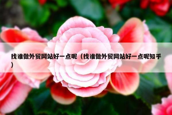 找谁做外贸网站好一点呢（找谁做外贸网站好一点呢知乎）