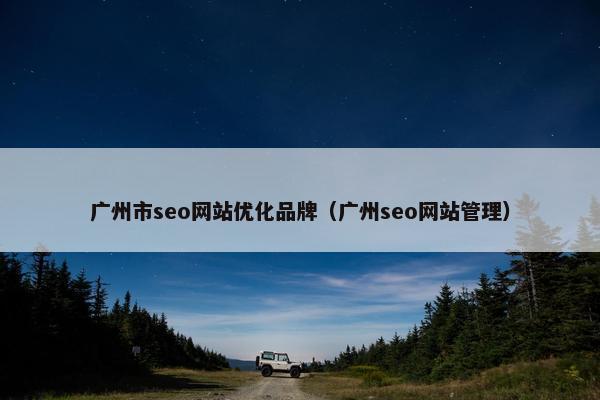 广州市seo网站优化品牌（广州seo网站管理）