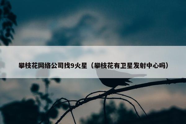 攀枝花网络公司找9火星（攀枝花有卫星发射中心吗）
