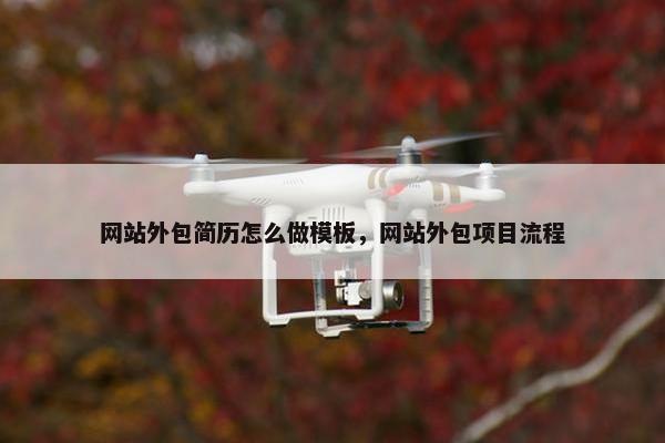 网站外包简历怎么做模板，网站外包项目流程