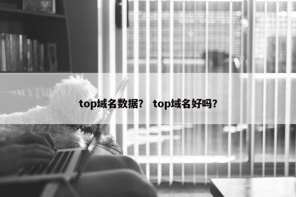 top域名数据？ top域名好吗？