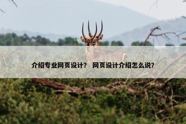 介绍专业网页设计？ 网页设计介绍怎么说？
