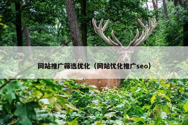 网站推广筛选优化（网站优化推广seo）