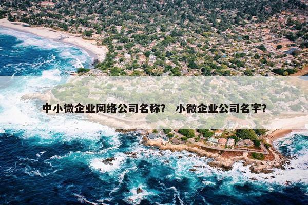 中小微企业网络公司名称？ 小微企业公司名字？